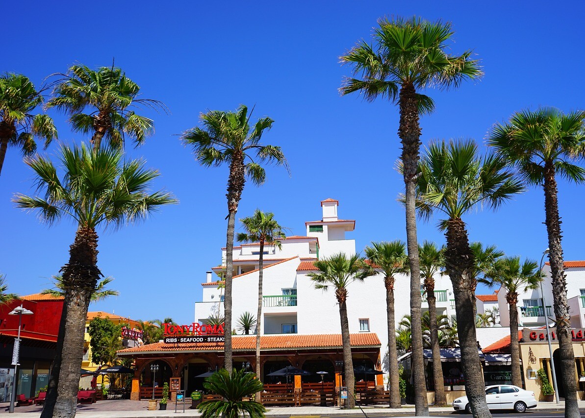 Palmen auf einer belebten Straße auf Teneriffa