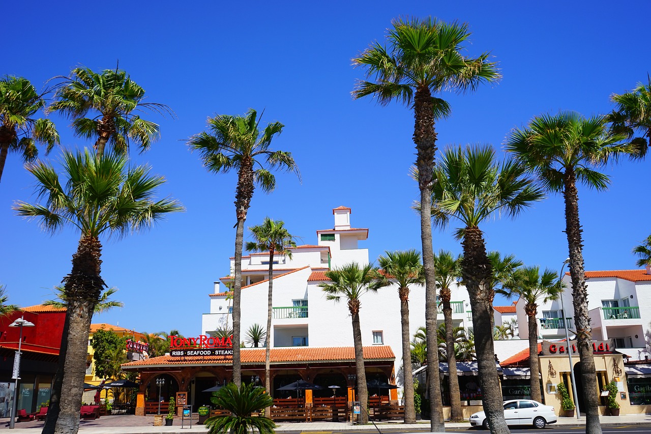 Palmen vor einem Restaurant auf Teneriffa