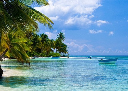 Palmen und türkisblaues Meer in der Dominikanischen Republik